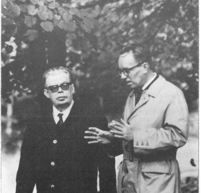 Bogolubov-Shirkov 001